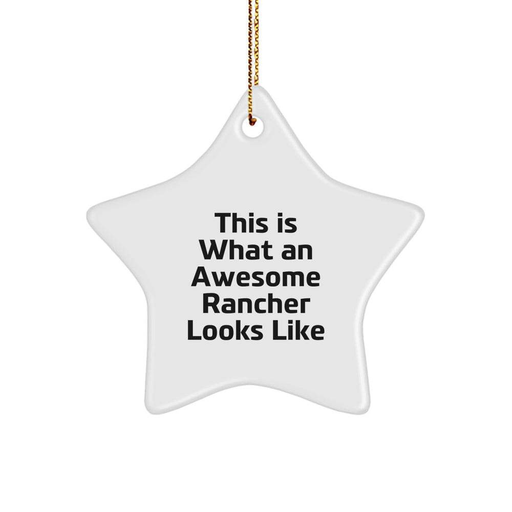 Rancher Gifts from Friends for Awesome Ranchers - Star Ornament, Inspirational Quote - Christmas Unique Gifts - Image 1
