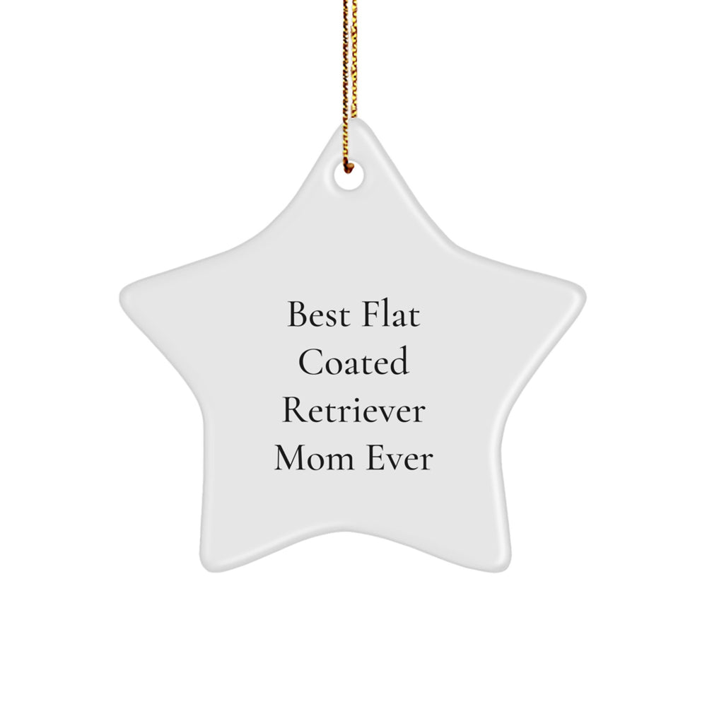 Funny Flat Coated Retriever Dog Gifts from Best Mom Ever to Star Ornament for Christmas - Image 1