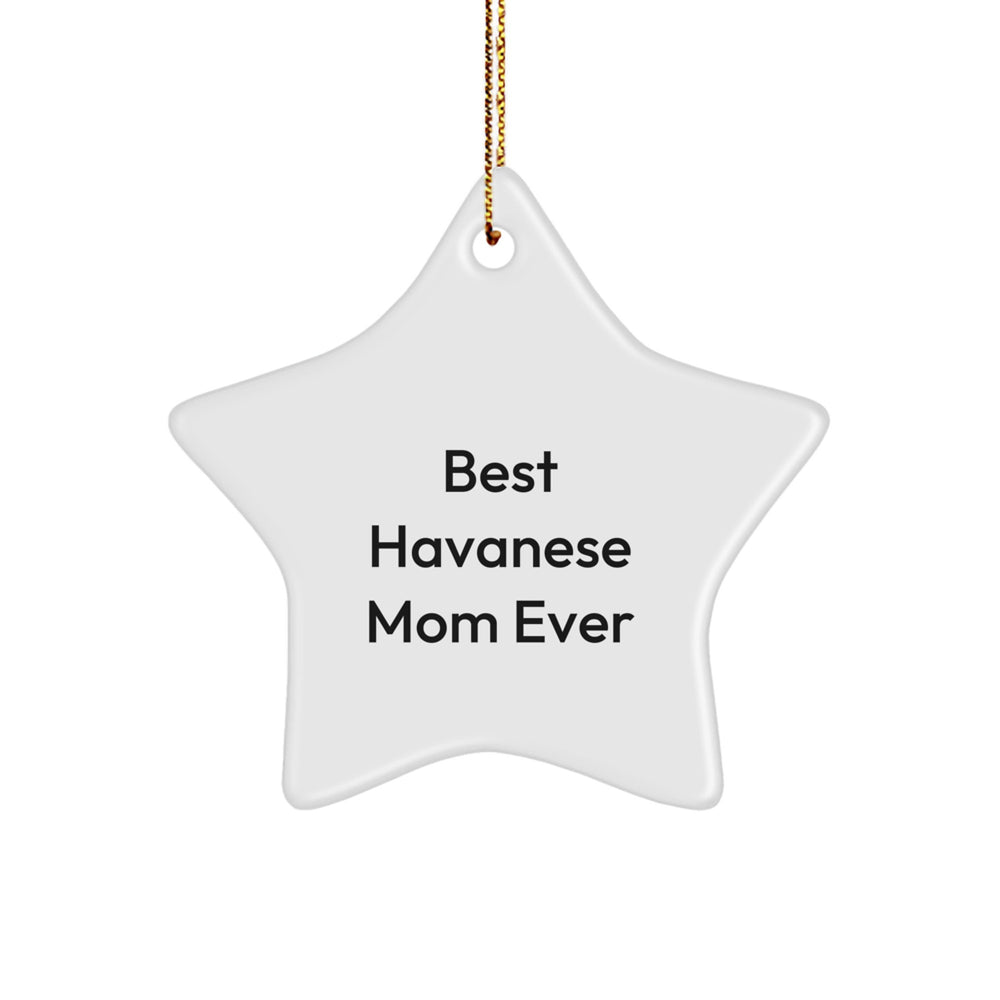 Havanese Dog Gifts, Funny Star Ornament for Christmas, 'Best Havanese Mom Ever' Quote, Gifts from Family, for Havanese Dog Lovers - Image 1