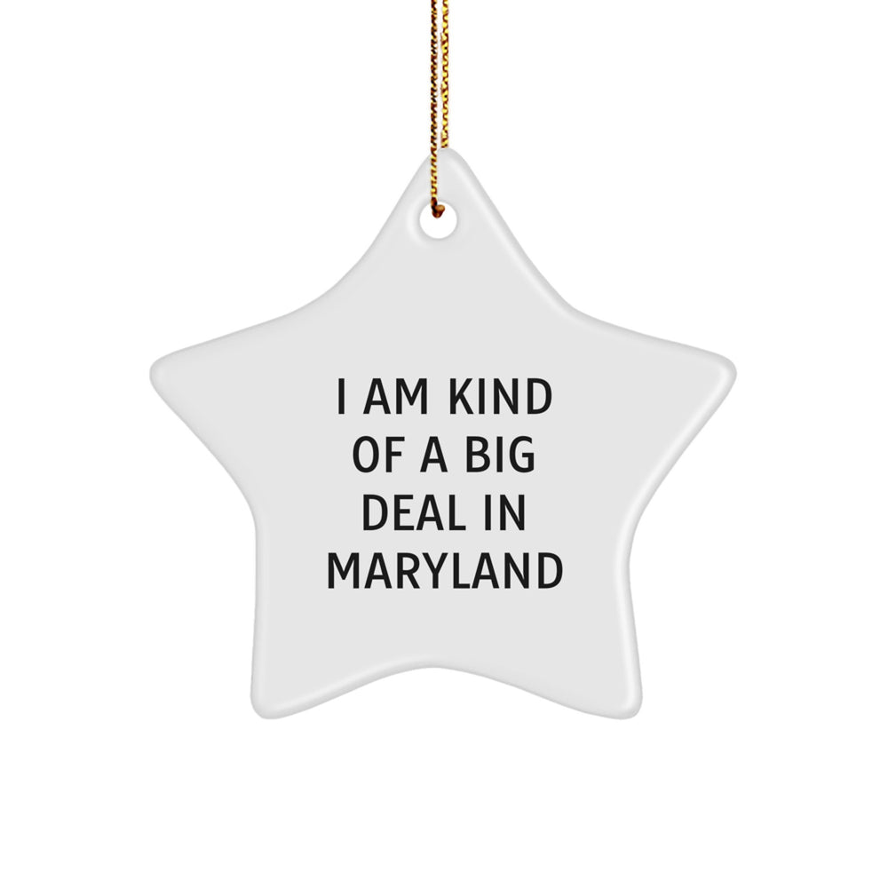 Maryland Star Ornament, I Am Kind Of A Prime Selection In Maryland, Funny Gifts from Men to Family for Christmas - Image 1