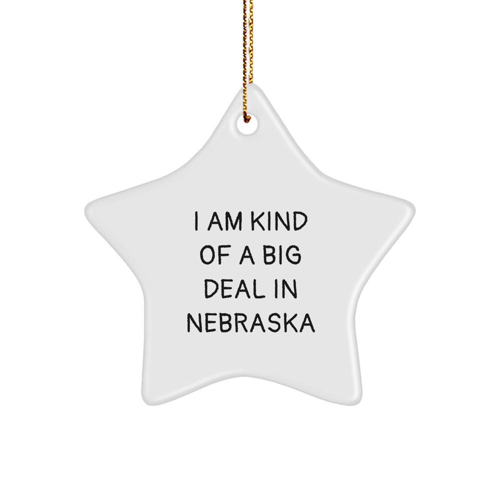 I Am Kind of a Prime Selection in Nebraska, Star Ornament, Funny Gifts for Friends from Nebraska, Christmas Unique Gifts - Image 1