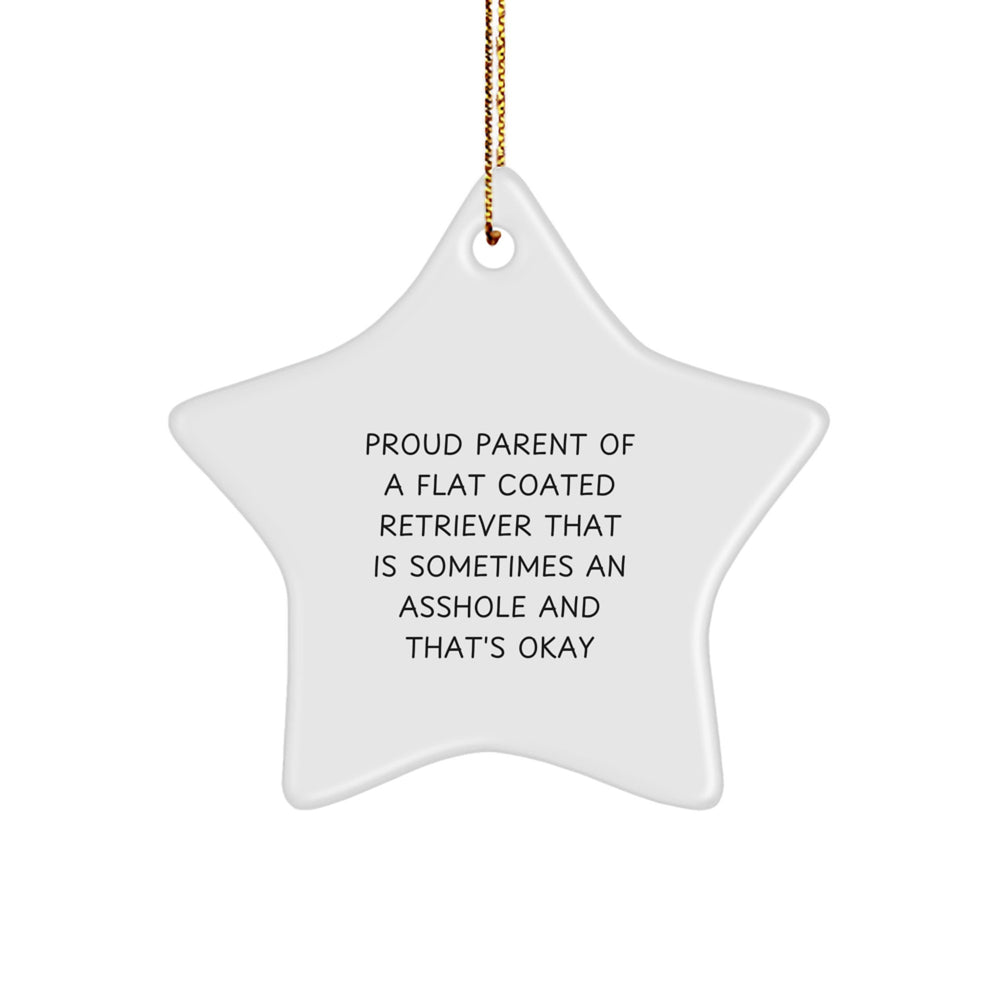 Funny Flat Coated Retriever Dog Parenting Star Ornament, Gifts from Friends to Family, Unique Christmas Unique Gifts - Image 1