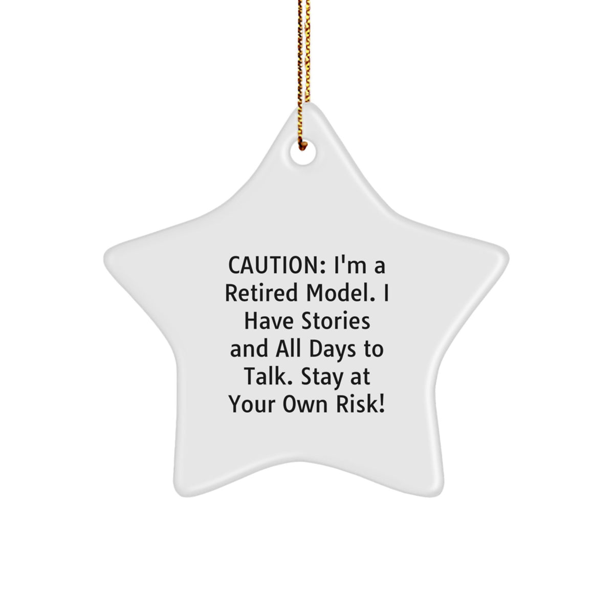 Funny Model Star Ornament Gifts from Friends and Family for Christmas, Cute Star Shaped Model Decorations, Stay At Your Own Risk Model Gift - Image 1