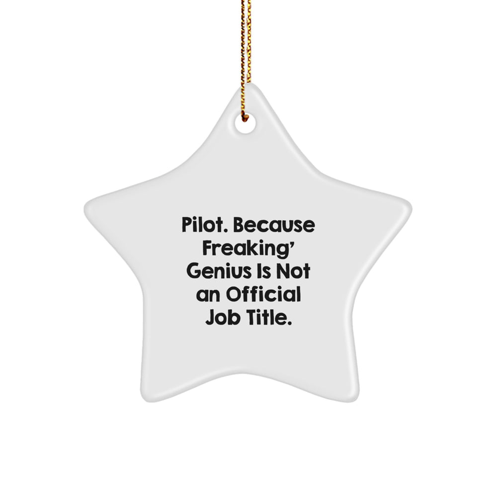 Pilot Gifts from Friends and Family - Star Ornament, 'Pilot. Because Freaking' genius Is Not An Official Job Title.' - Christmas Unique Gifts - Image 1