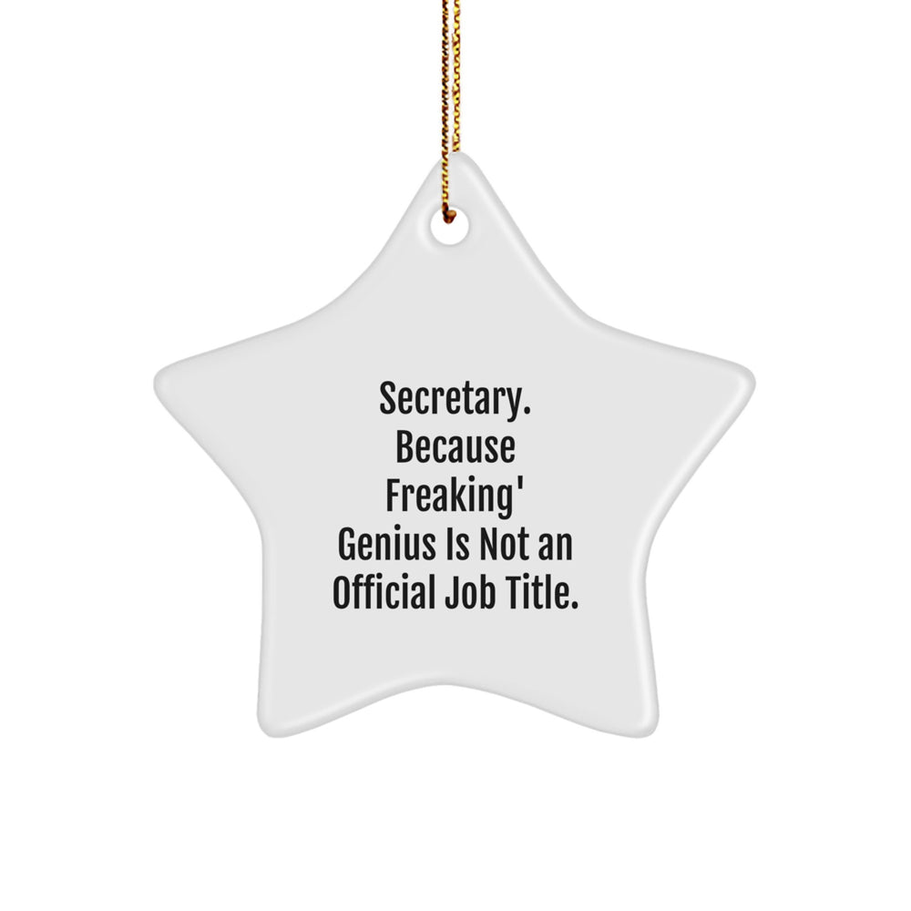'Secretary, You're a Star!' Funny White Star Ornament, Gifts from Friends for Secretary, Christmas Unique Presents for Her - Image 1
