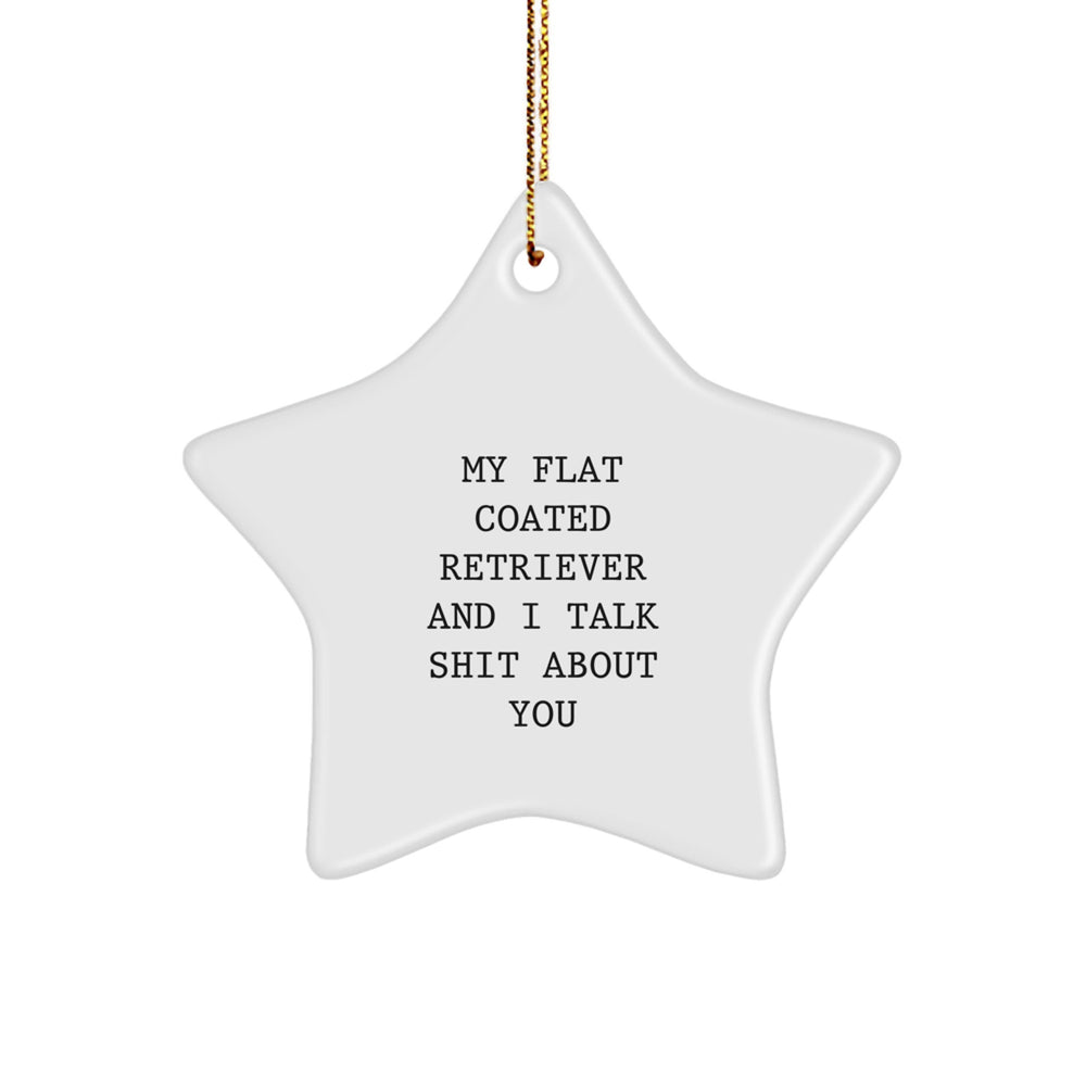 Funny Flat Coated Retriever Dog Gifts, Unique Christmas Star Ornament, 'My Flat Coated Retriever And I Talk Shit About You', Gifts from Friends to Family - Image 1