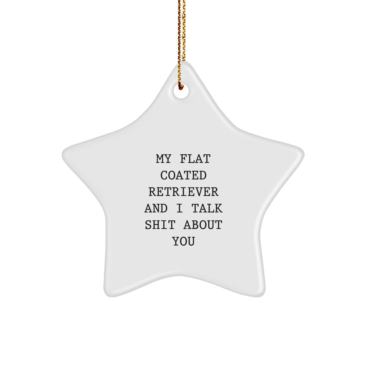 Funny Flat Coated Retriever Dog Gifts, Unique Christmas Star Ornament, 'My Flat Coated Retriever And I Talk Shit About You', Gifts from Friends to Family - Image 1