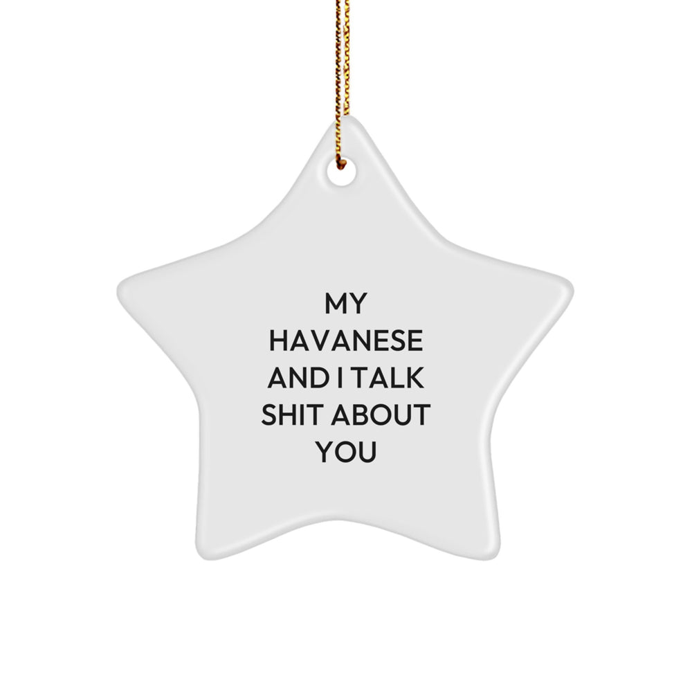 Funny Havanese Dog Lover Gifts from Friends, Christmas Unique Star Ornament for Havanese Dog Friends, My Havanese And I Talk Shit About You - Image 1