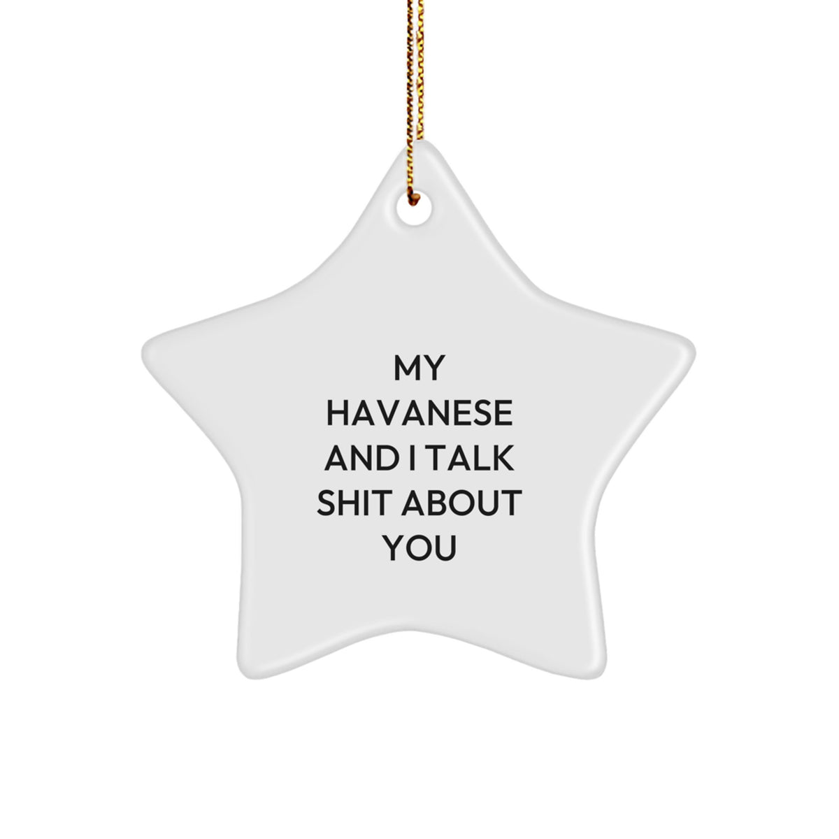 Funny Havanese Dog Lover Gifts from Friends, Christmas Unique Star Ornament for Havanese Dog Friends, My Havanese And I Talk Shit About You - Image 1