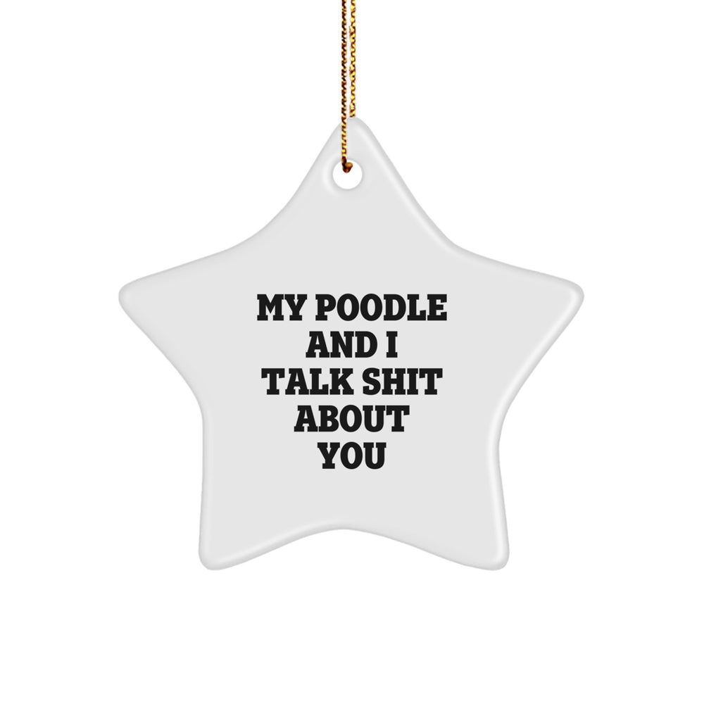 Funny Poodle Dog Gifts from Friends to Poodle Dog Lovers - My Poodle And I Talk Shit About You Star Ornament for Christmas - Image 1