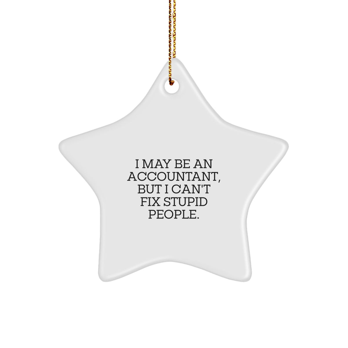 Funny Accountant Christmas Unique Gifts for Him from Men, Accountant Star Ornament Decorations, I May Be An 'Accountant' But I Cant Fix Stupid People - Image 1