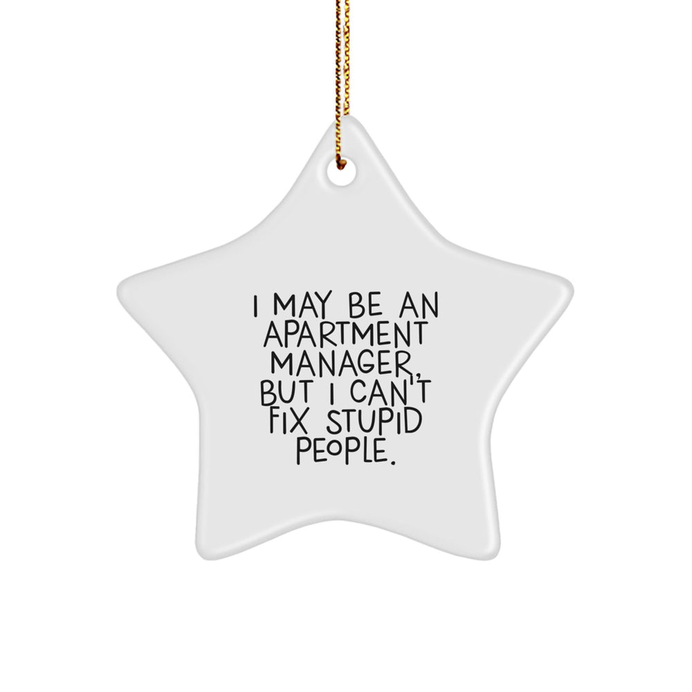 Funny Apartment Manager Christmas Star Ornament Gifts from Friends, Coworkers, or Family - Image 1