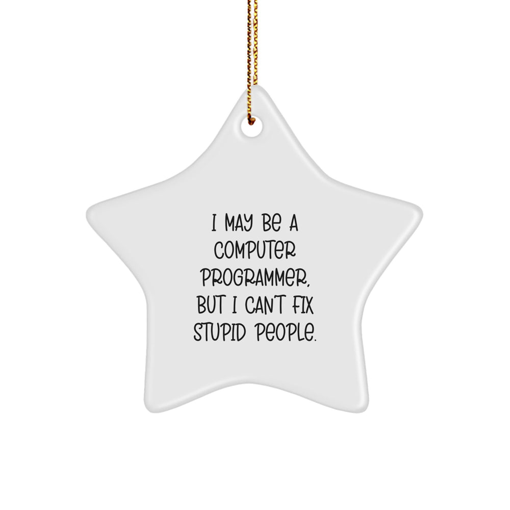 Funny Computer Programmer Gifts for Men - 'I May Be A Computer Programmer, But I Can't Fix Stupid People' Star Ornament, Christmas Unique Gifts from Friends, Coworkers, or Family - Image 1