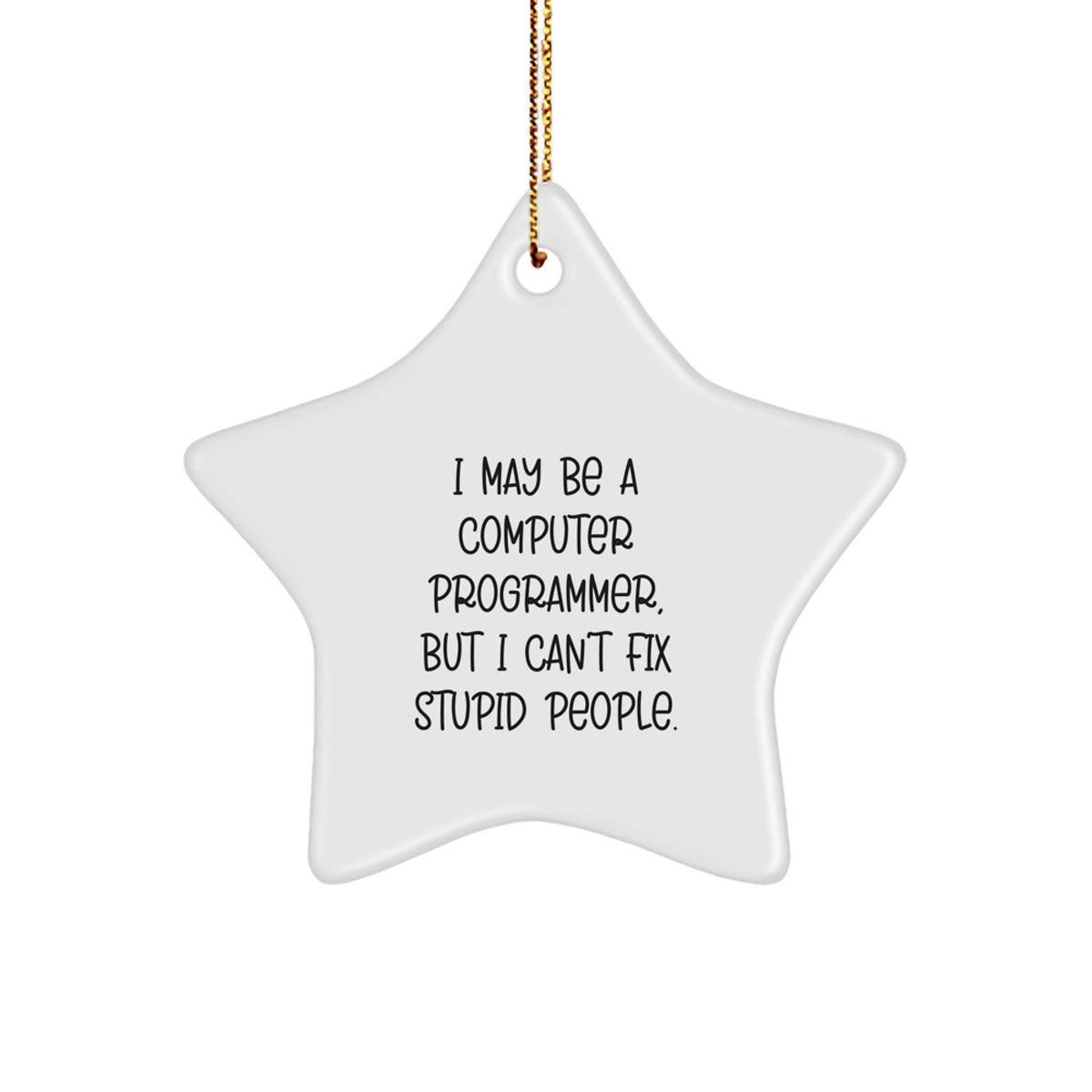 Funny Computer Programmer Gifts for Men - 'I May Be A Computer Programmer, But I Can't Fix Stupid People' Star Ornament, Christmas Unique Gifts from Friends, Coworkers, or Family - Image 1