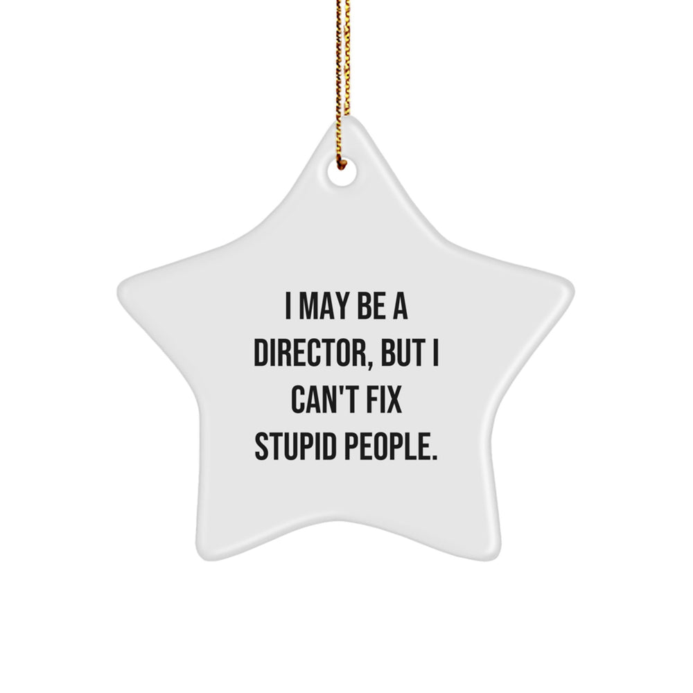 Funny Director Gift, I May Be A Director But I Cant Fix Stupid People Star Ornament for Men Friends Coworkers Family Christmas Unique Gifts - Image 1