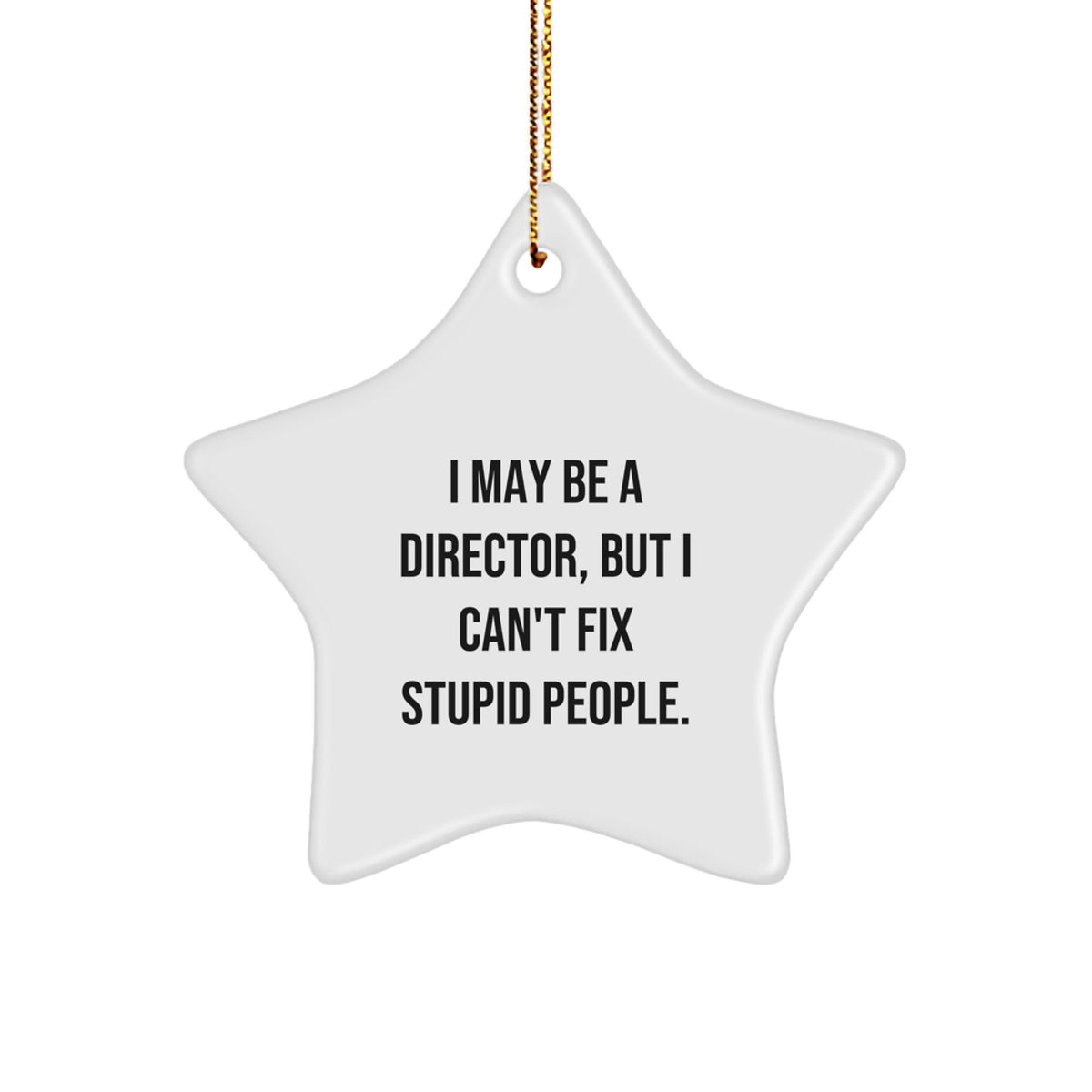 Funny Director Gift, I May Be A Director But I Cant Fix Stupid People Star Ornament for Men Friends Coworkers Family Christmas Unique Gifts - Image 1