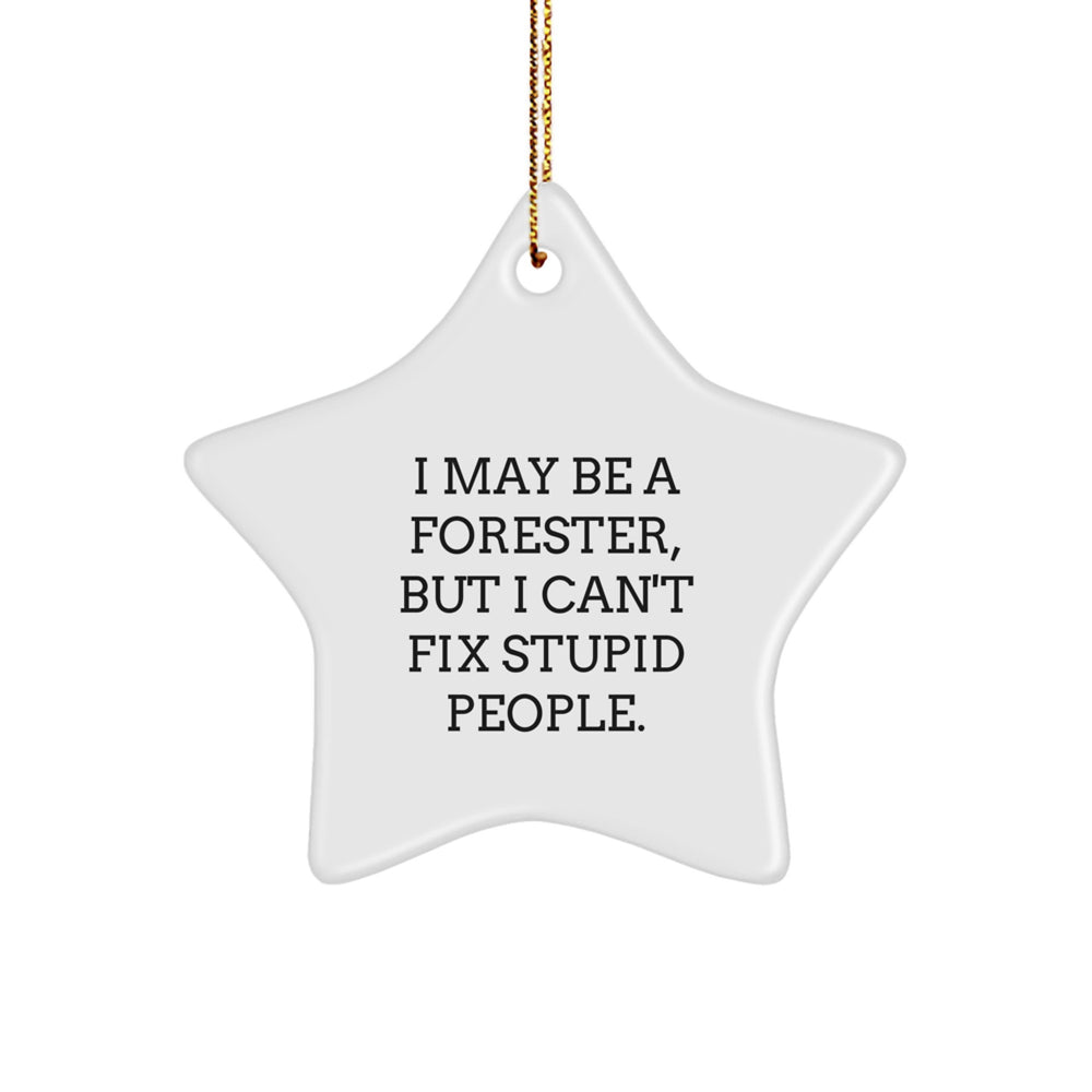Forester Gifts Funny Star Ornament I May Be A Forester, But I Can't Fix Stupid People Gifts from Family, Gifts for Forester, Best Christmas Unique Gifts - Image 1