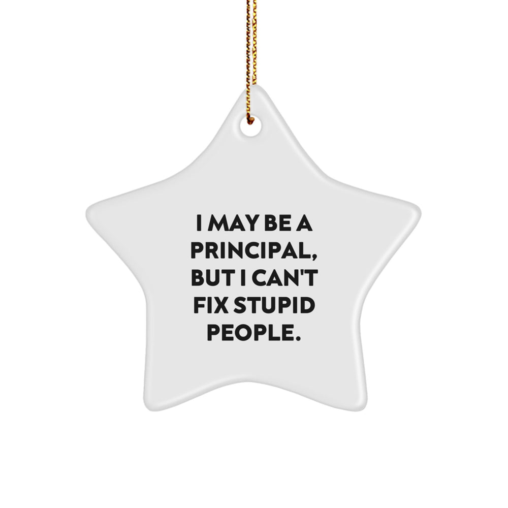 Funny Principal Star Ornament Gifts from Friends for Principal Men, Funny Star Ornament for Principal, Gifts for Christmas Unique Principal - Image 1