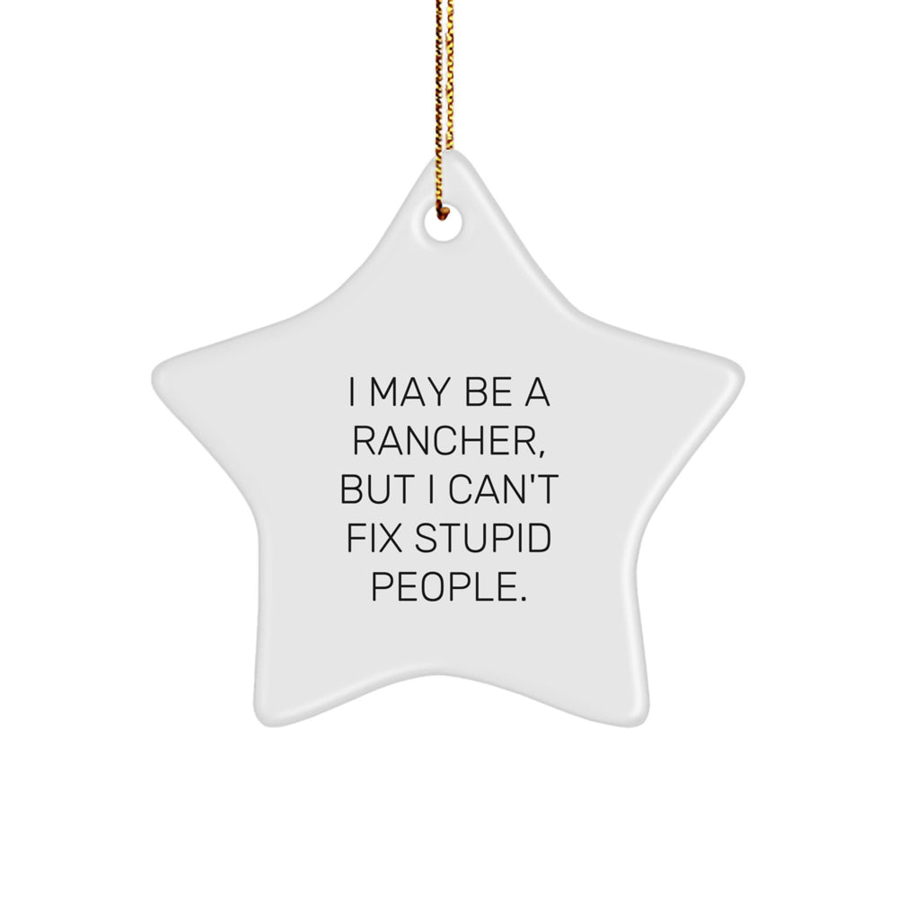 Funny Rancher Gifts, I May Be A Rancher, But I Can't Fix Stupid People., Star Ornament, Christmas Unique Gifts from Men, for Ranchers, Friends, and Family - Image 1