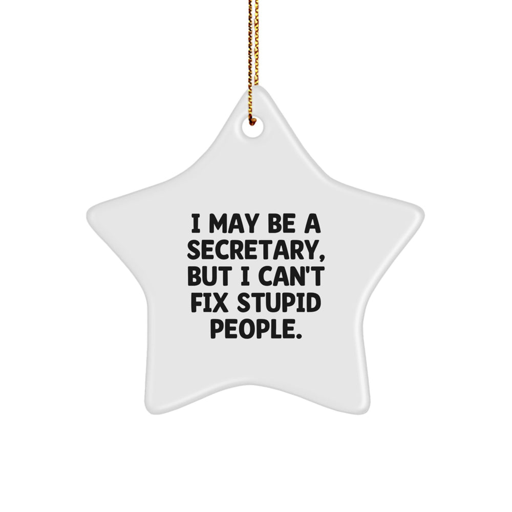 Funny Secretary Star Ornament, Gifts from Friends for Secretary, Christmas Unique Secretary Gifts, I May Be A Secretary But I Cant Fix Stupid People Star Decoration - Image 1