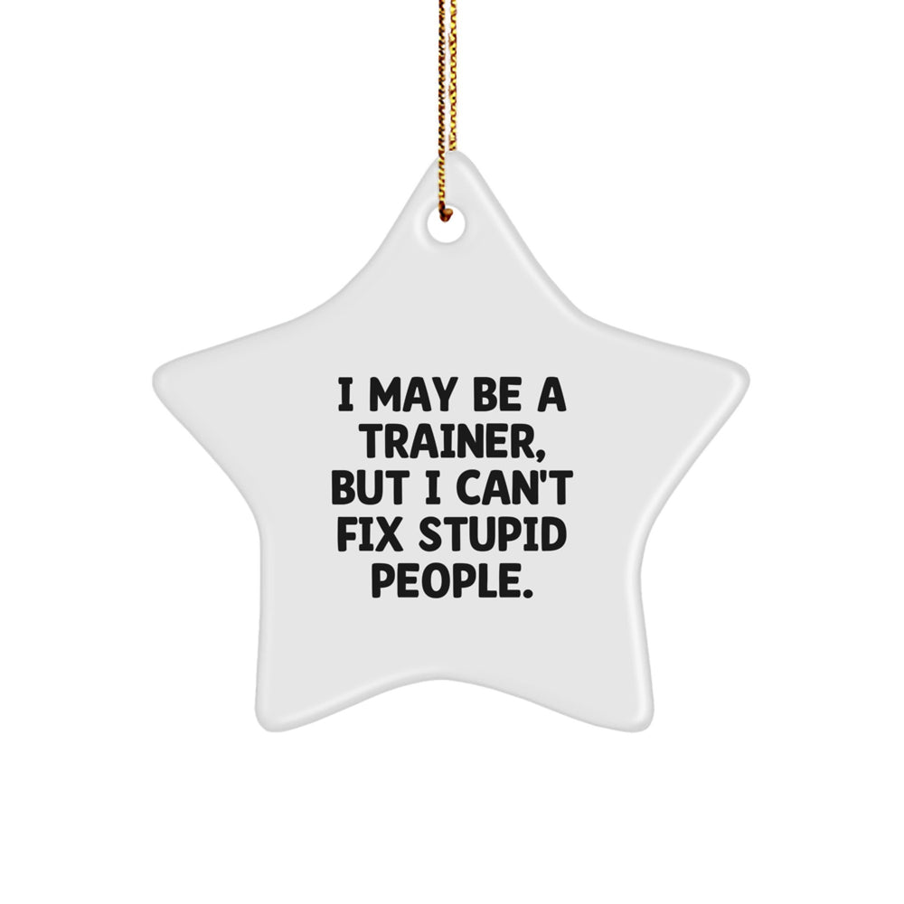 Funny Trainer Star Ornament Gifts for Men Women Friends Coworkers Family, Christmas Unique Gift Idea from Men Friends, Inspirational Trainer Quote Star Ornament - Image 1