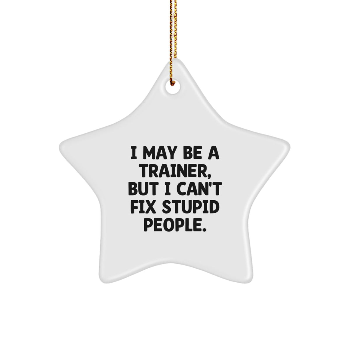 Funny Trainer Star Ornament Gifts for Men Women Friends Coworkers Family, Christmas Unique Gift Idea from Men Friends, Inspirational Trainer Quote Star Ornament - Image 1