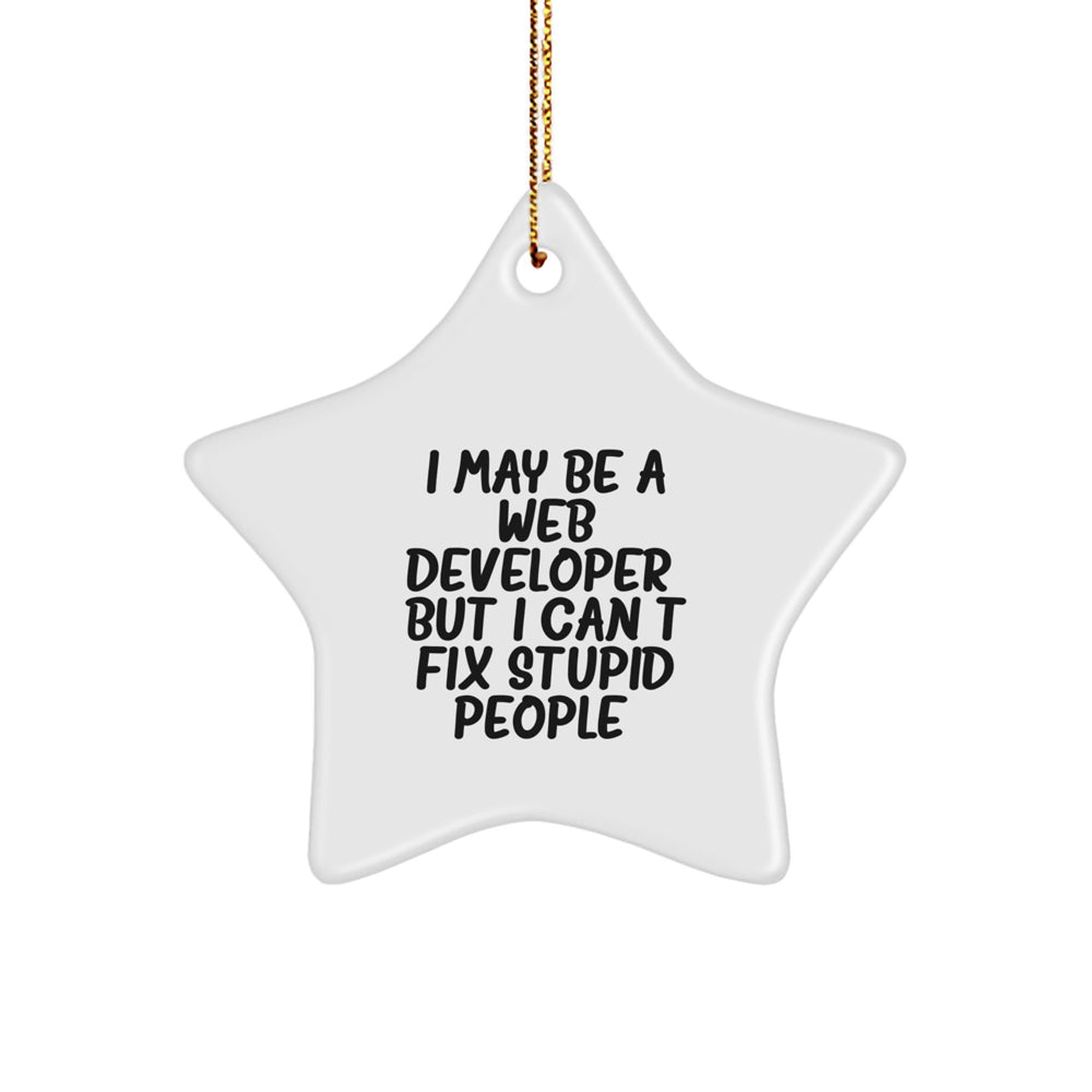 Funny Web Developer Gifts from Friends - I May Be A Web Developer, But I Can't Fix Stupid People. Star Ornament for Men Women Coworkers Family - Christmas Unique - Image 1