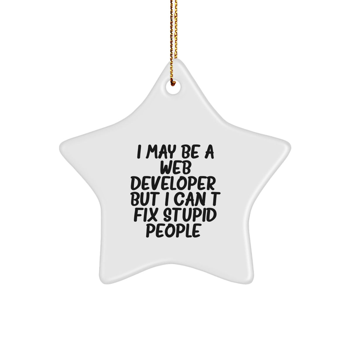 Funny Web Developer Gifts from Friends - I May Be A Web Developer, But I Can't Fix Stupid People. Star Ornament for Men Women Coworkers Family - Christmas Unique - Image 1