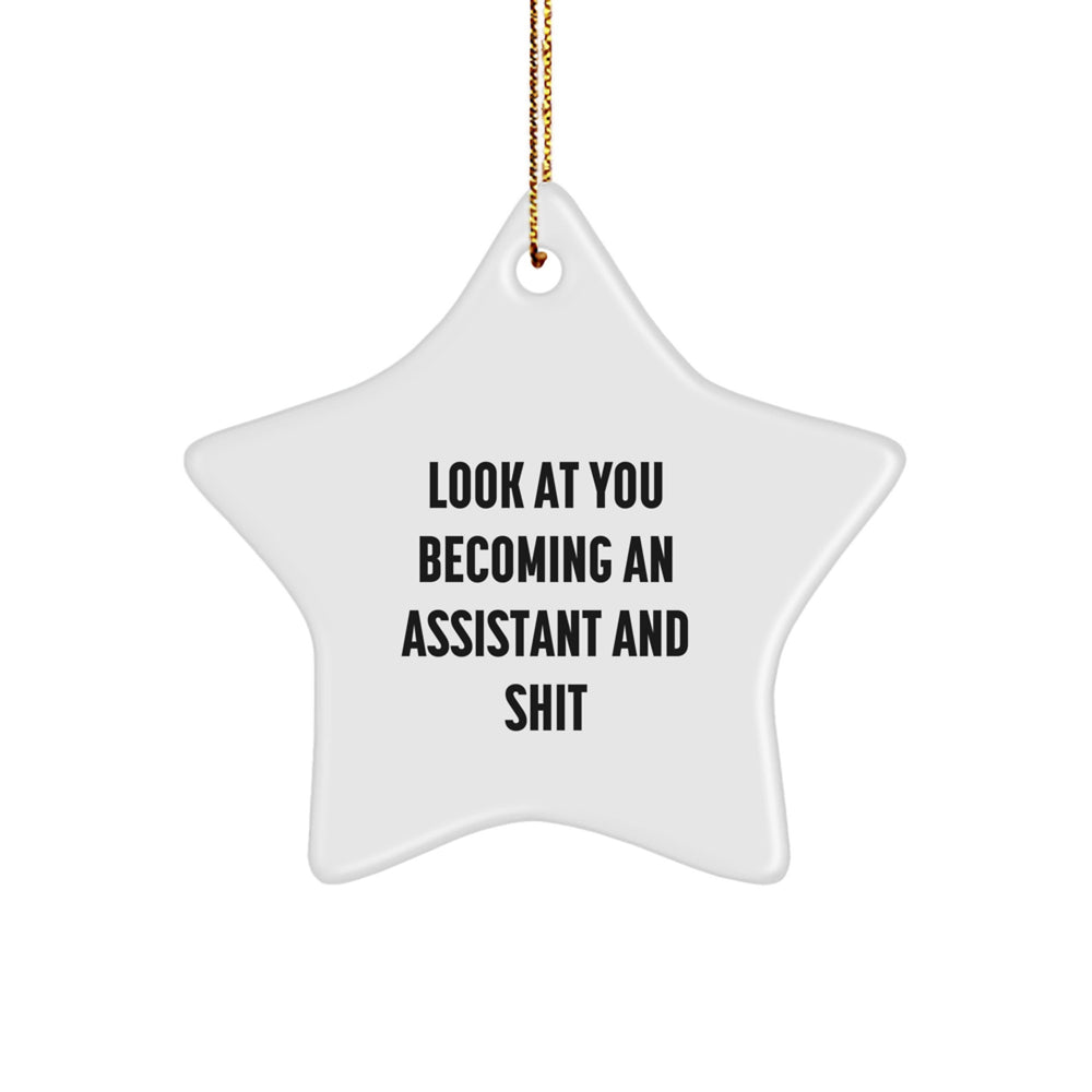 Funny Assistant Gifts, Look At You Becoming An Assistant And Shit Star Ornament, Gifts from Family to Coworkers, Perfect for Christmas - Image 1