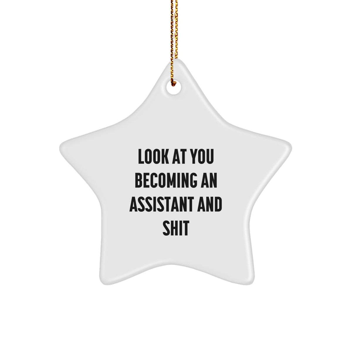 Funny Assistant Gifts, Look At You Becoming An Assistant And Shit Star Ornament, Gifts from Family to Coworkers, Perfect for Christmas - Image 1