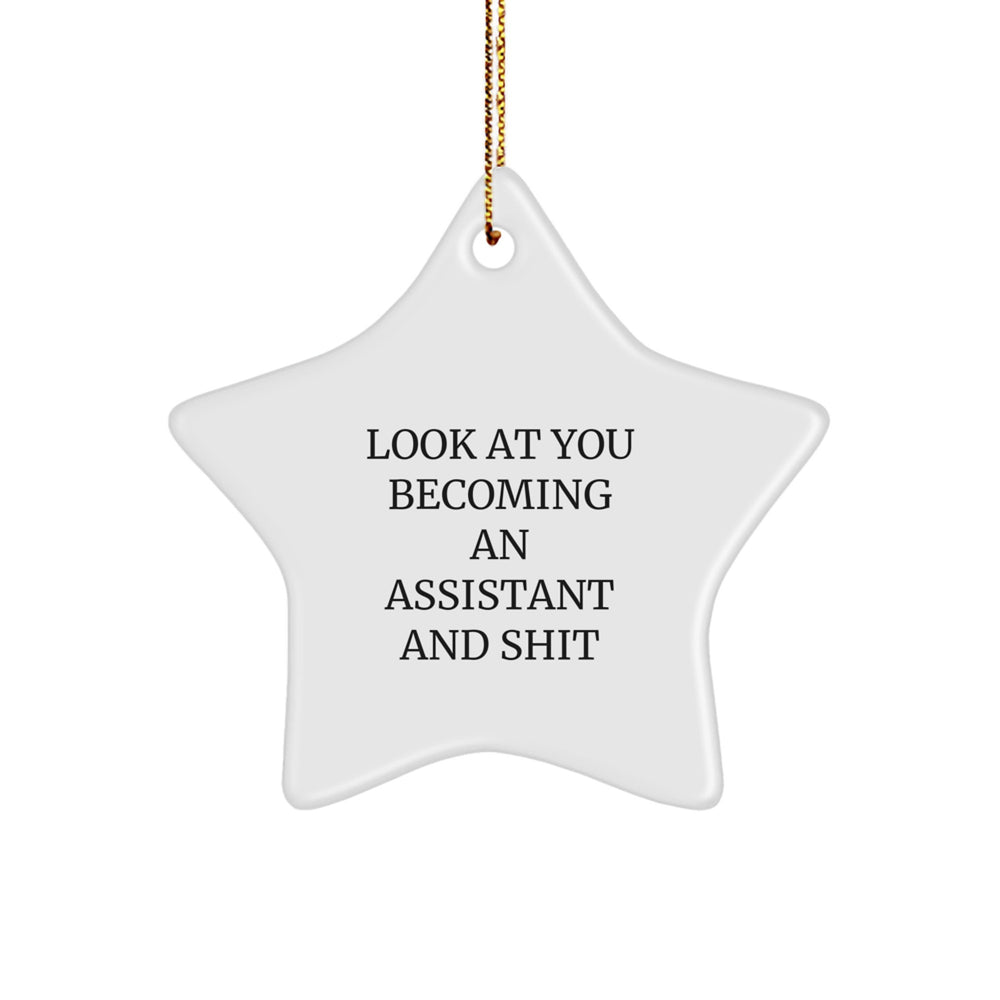 Funny Assistant Gifts from Friends for Star Ornament, 'Look At You Becoming An Assistant And Shit', Christmas Unique Star Shaped Decorations - Image 1