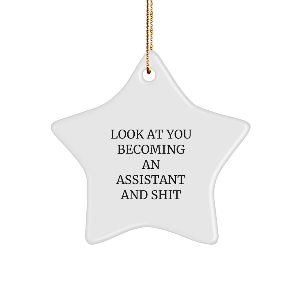 Funny Assistant Gifts from Friends for Star Ornament, 'Look At You Becoming An Assistant And Shit', Christmas Unique Star Shaped Decorations - Image 1