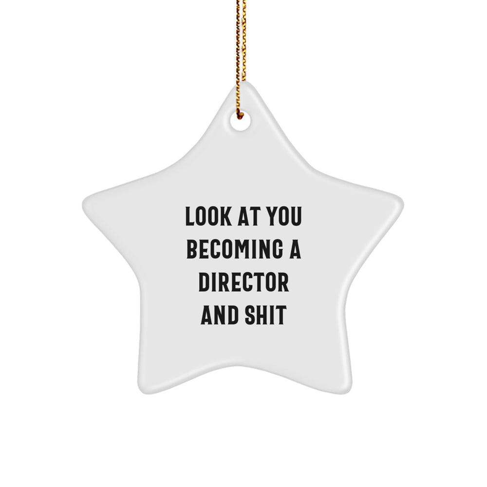 Funny Director Star Ornament Gifts from Friends to Family for Christmas Unique Director - Image 1