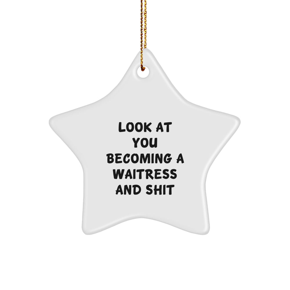 Funny Waitress Gifts from Friends - Star Ornament, Look At You Becoming A Waitress And Shit, Christmas Unique Gifts for Waitress - Image 1