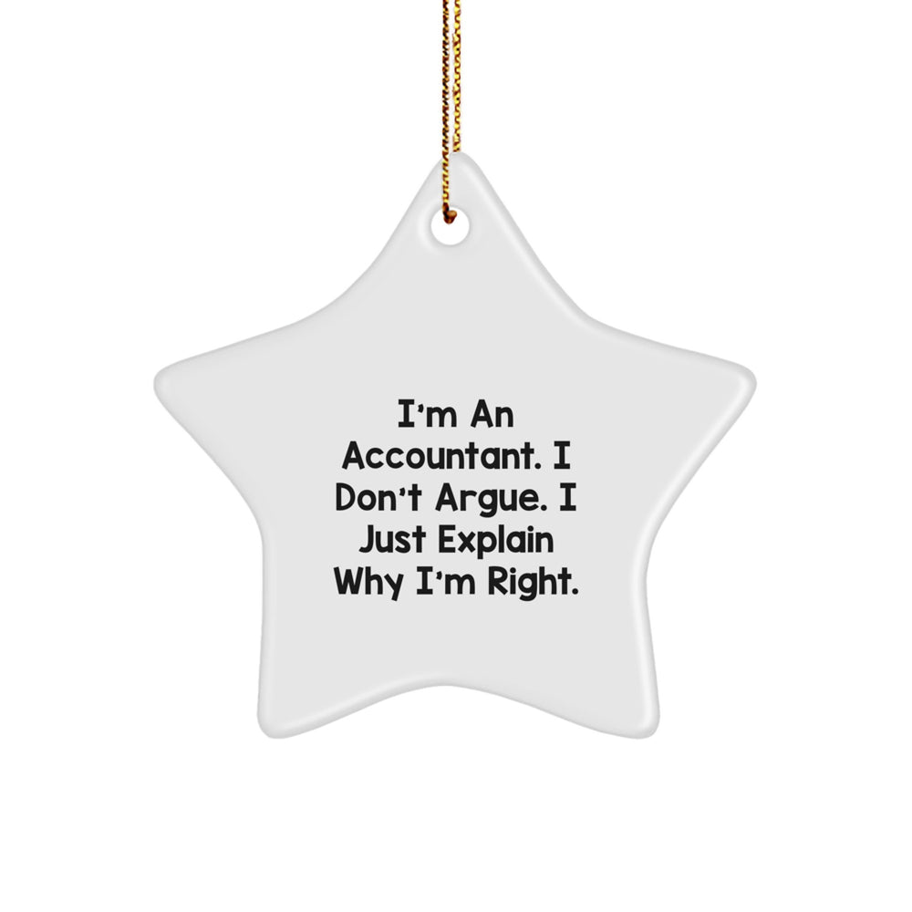 Funny Accountant Gifts from Friends for Men Christmas Unique Star Ornaments with Humorous Quote - Gifts for Accountant Colleagues - Image 1
