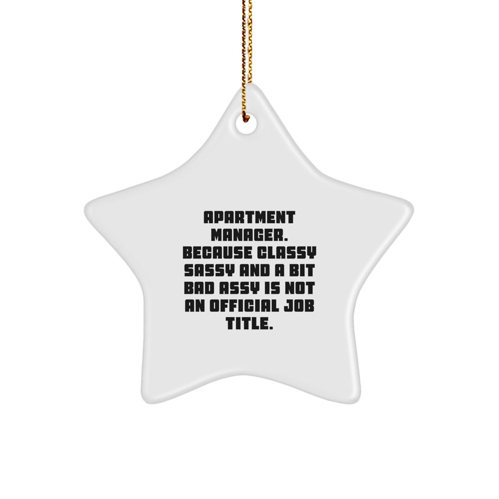 Funny Star Ornaments for Apartment Manager Gifts, Unique Christmas Ornaments for Friends and Family from Apartment Manager - Image 1