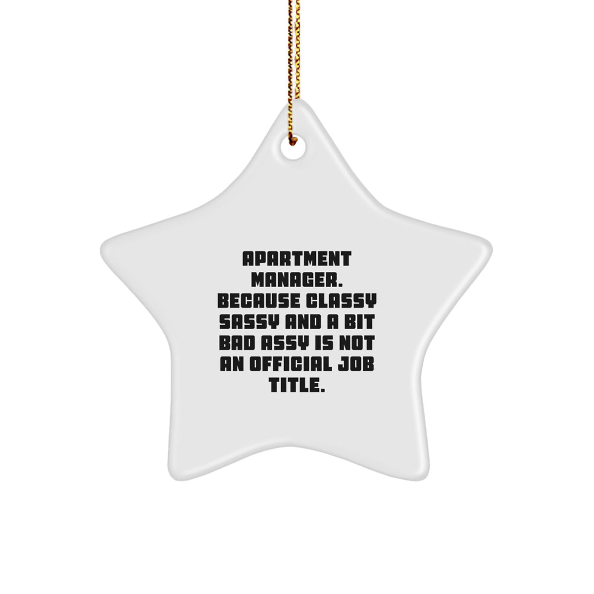 Funny Star Ornaments for Apartment Manager Gifts, Unique Christmas Ornaments for Friends and Family from Apartment Manager - Image 1
