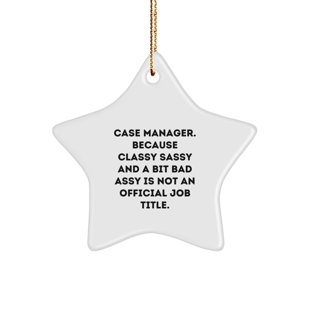 Gifts from Family and Friends for the Sassy Case Manager Star Ornament, Funny Quote on White Star Shaped Christmas Unique Gifts - Image 1