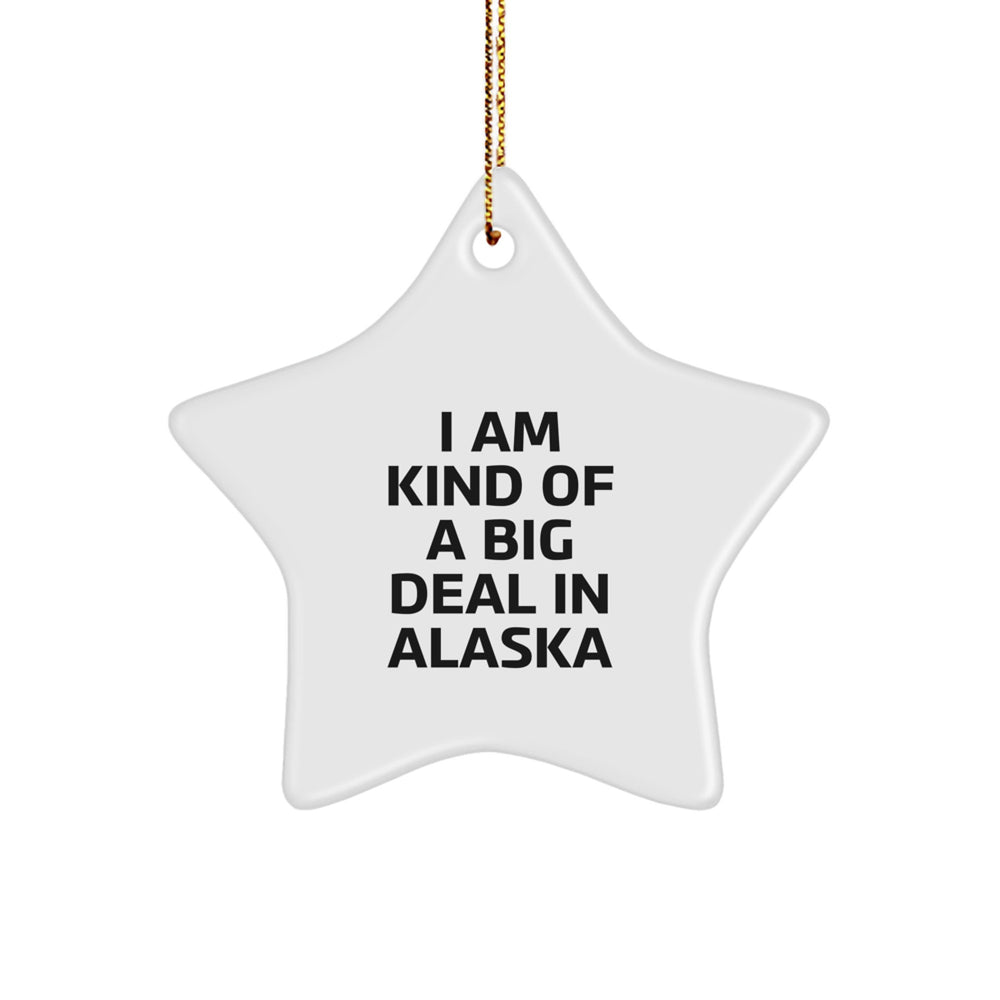 Alaska Star Ornament Gifts from Friends to Alaska - 'I Am Kind Of A Prime Selection In Alaska' - Christmas Unique Presents - Image 1