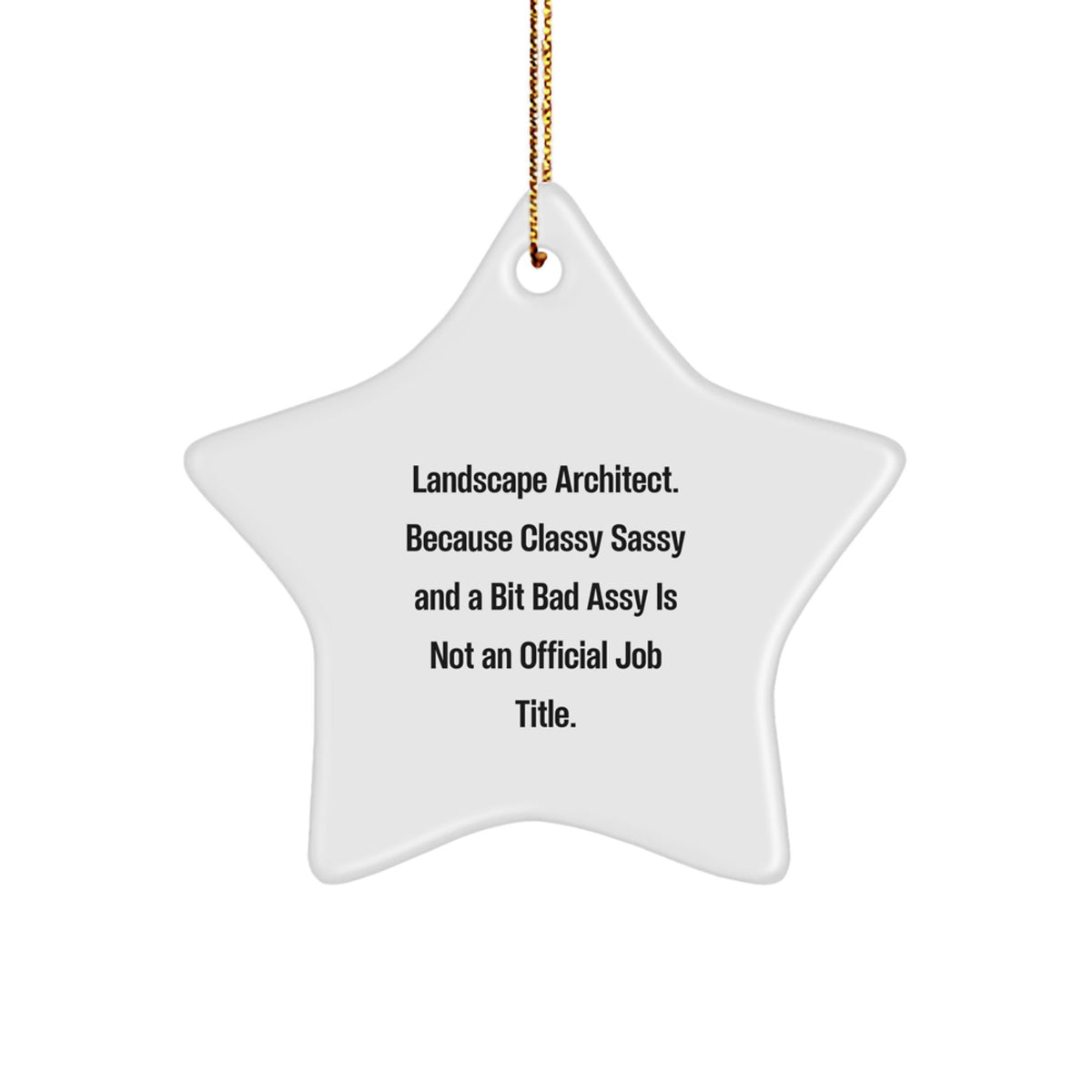 Funny Star Ornament Gifts from Dad to Landscape Architect, Unique Christmas Decorations for Men, Funny Landscape Architect Office Gifts - Image 1