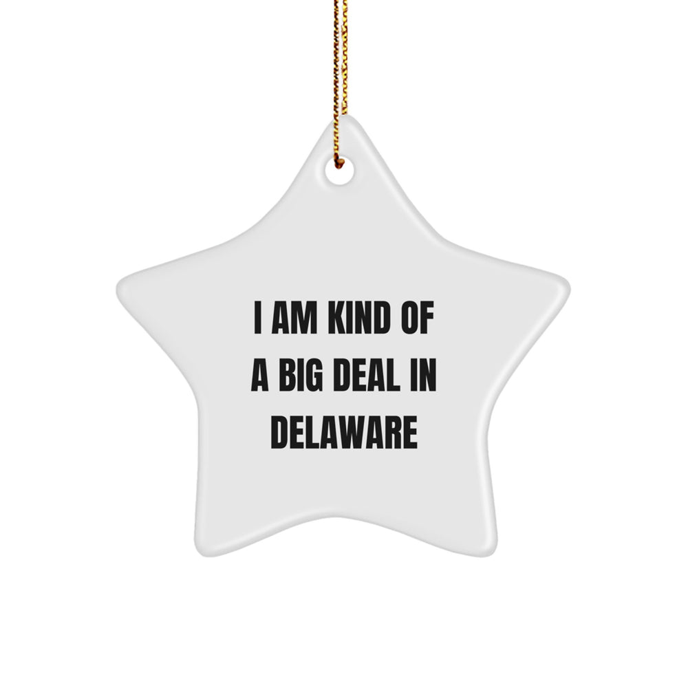 Kind of a Prime Selection Delaware Star Ornament, Gifts from Friends to Family, Unique Christmas Decorations - Image 1