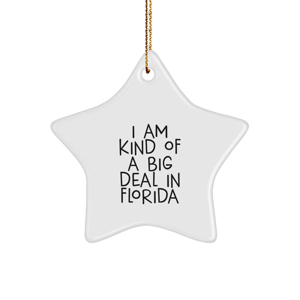 Funny Florida Star Ornament Gifts from Friends or Family for Christmas Unique Gifts with I 'm Kind Of A Prime Selection In Florida Quote - Image 1