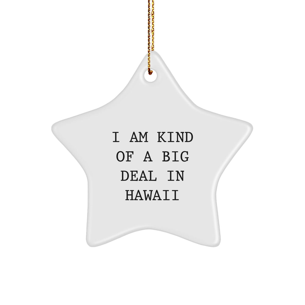 Funny Hawaii Star Ornament Gifts from Friends and Family for Christmas - 'I Am Kind Of A Prime Selection In Hawaii' - Image 1
