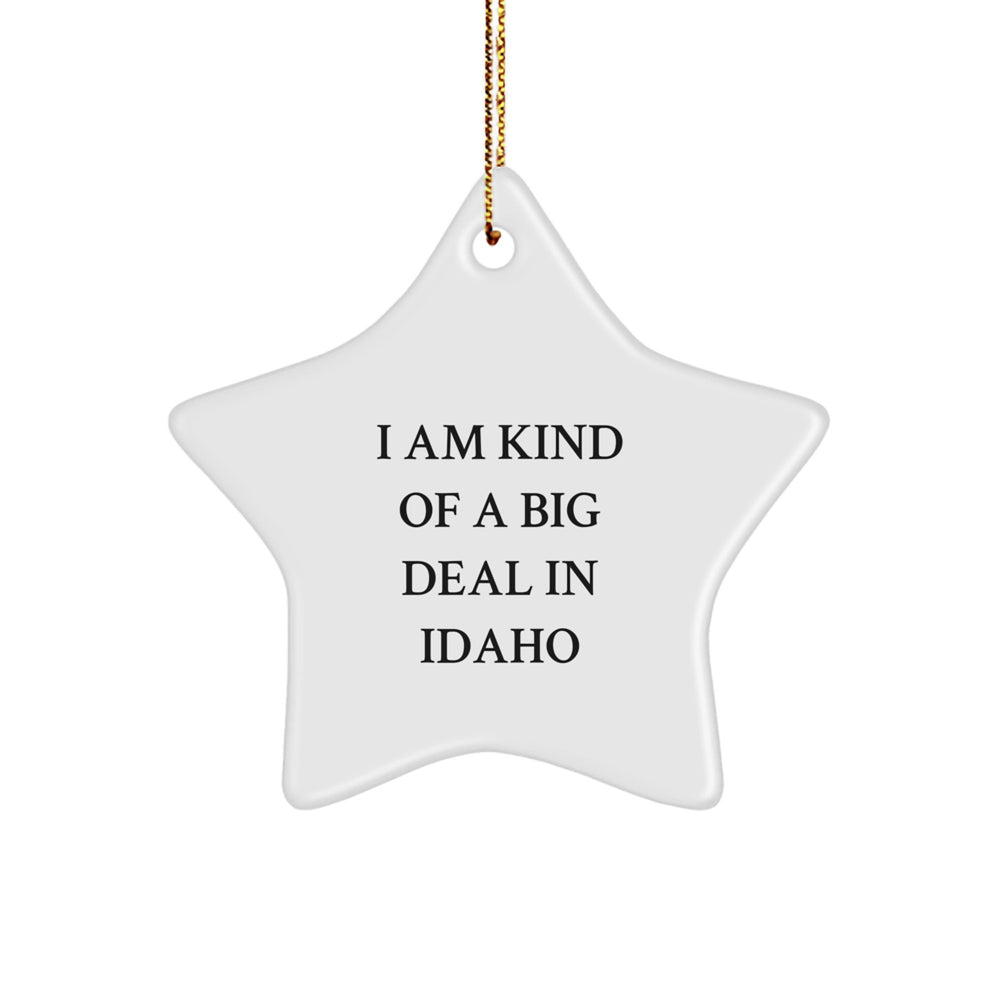 Idaho Gifts from Friends - I Am Kind of a Prime Selection In Idaho Star Ornament, Funny White Star Shaped Decoration for Christmas, Gifts for Family, Men, and Women - Image 1