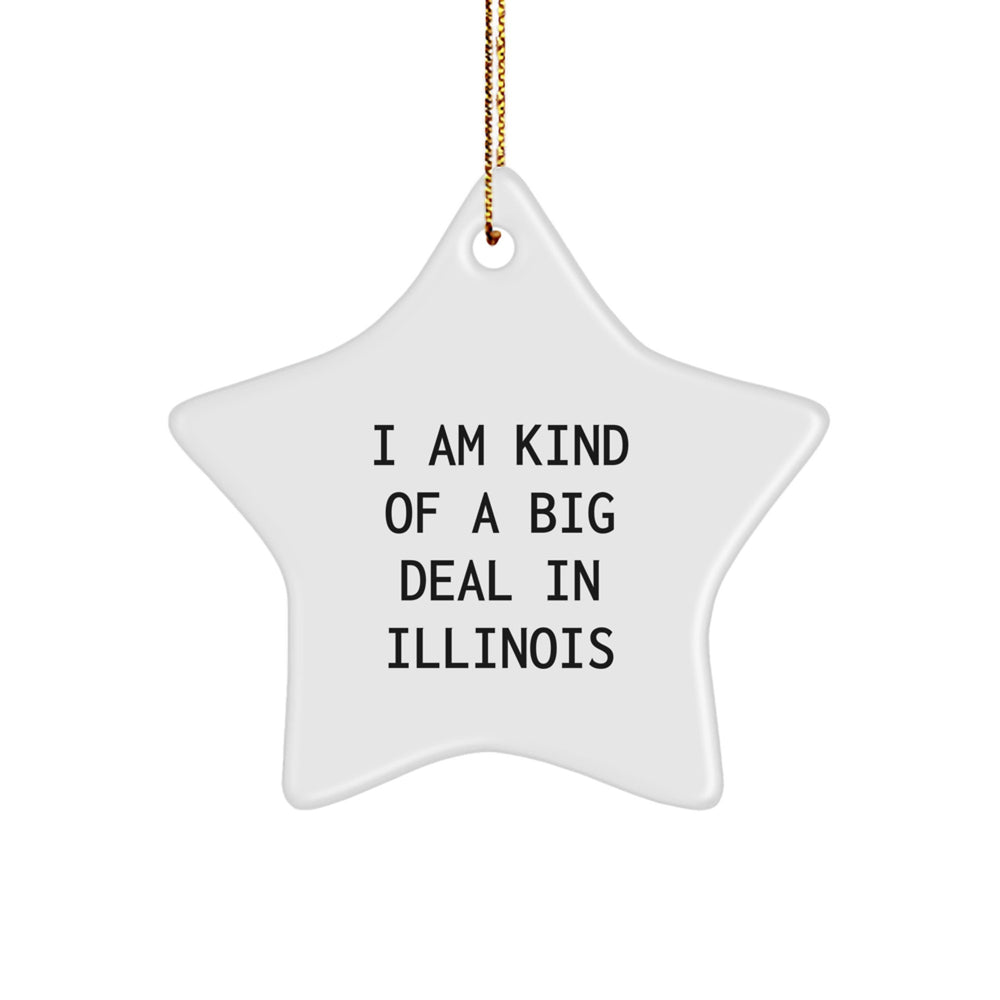 I Am Kind Of A Prime Selection In Illinois Star Ornament, Illinois Gifts, Christmas Unique Gifts for Men from Illinois, Illinois Star Ornament for Family - Image 1