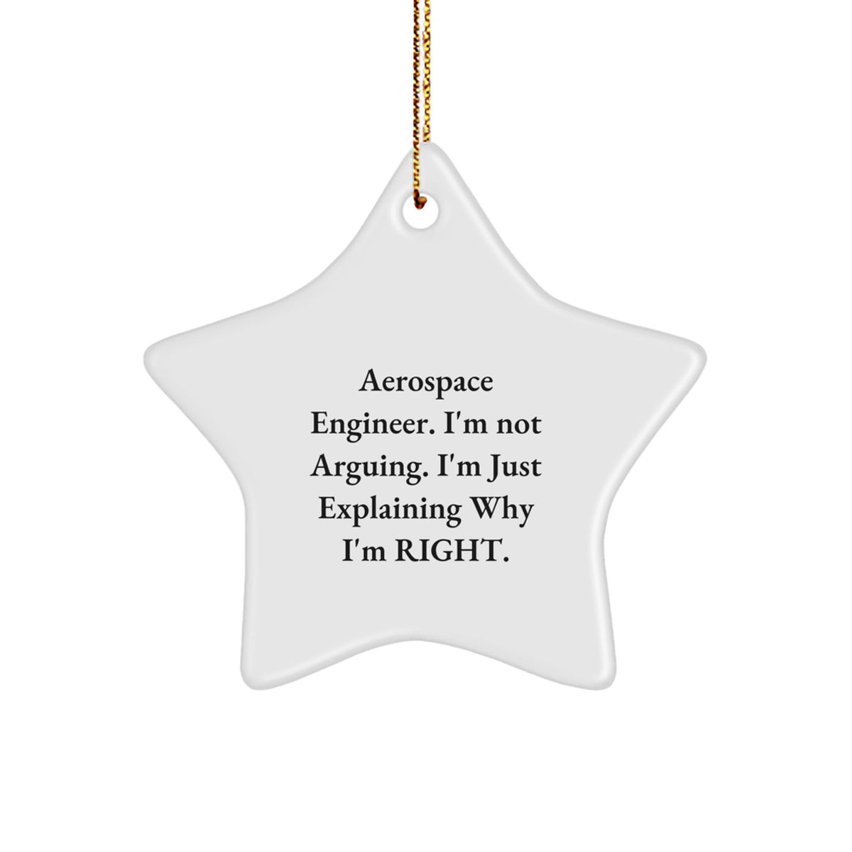 Gifts from Family for Aerospace Engineer, Funny Star Ornament, Unique Christmas Decorations, Quote: 'I'm Not Arguing. I'm Just Explaining Why I'm Right.', Star Shaped, White - Image 1