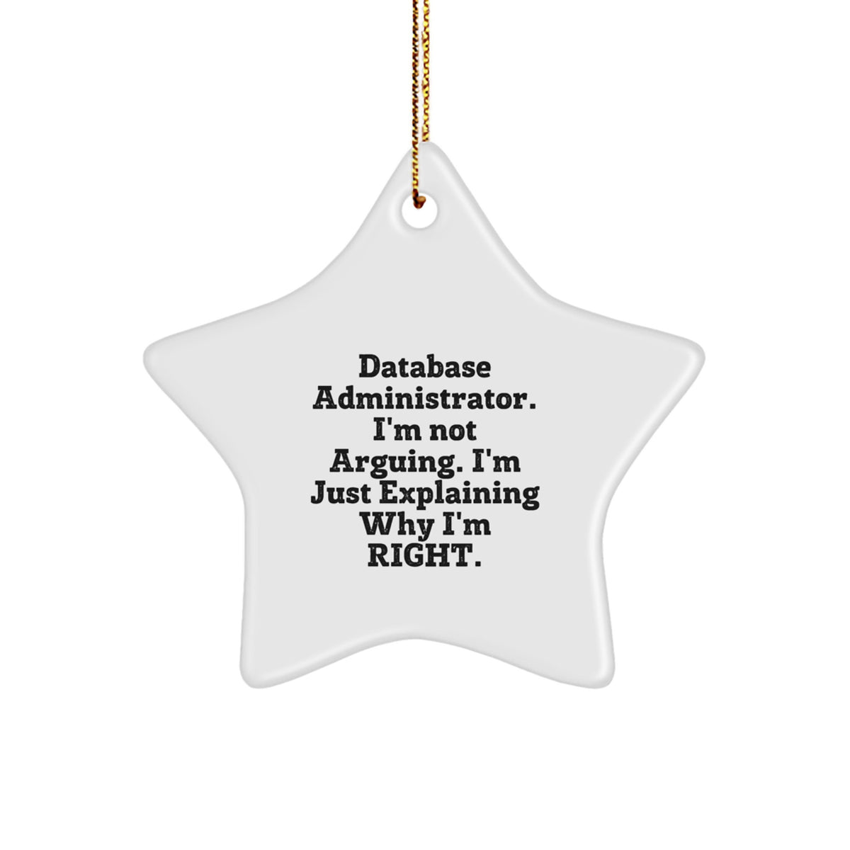 Funny Database Administrator Star Ornament, I'm Not Arguing Gifts from Friends and Family for Christmas Unique Gifts - Image 1