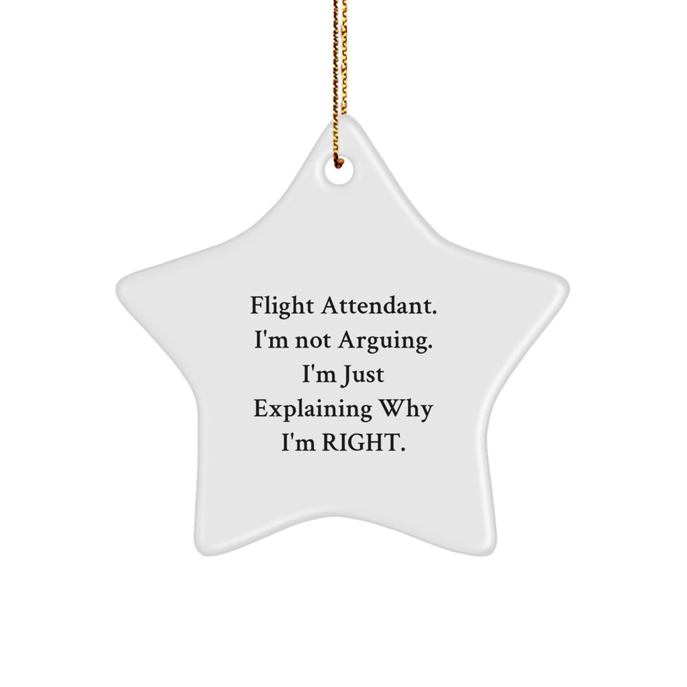 Funny Flight Attendant Gifts from Friends for Men Women Coworkers Family Christmas Unique Star Ornament Quote I'm Not Arguing I'm Just Explaining Why I'm Right. - Image 1