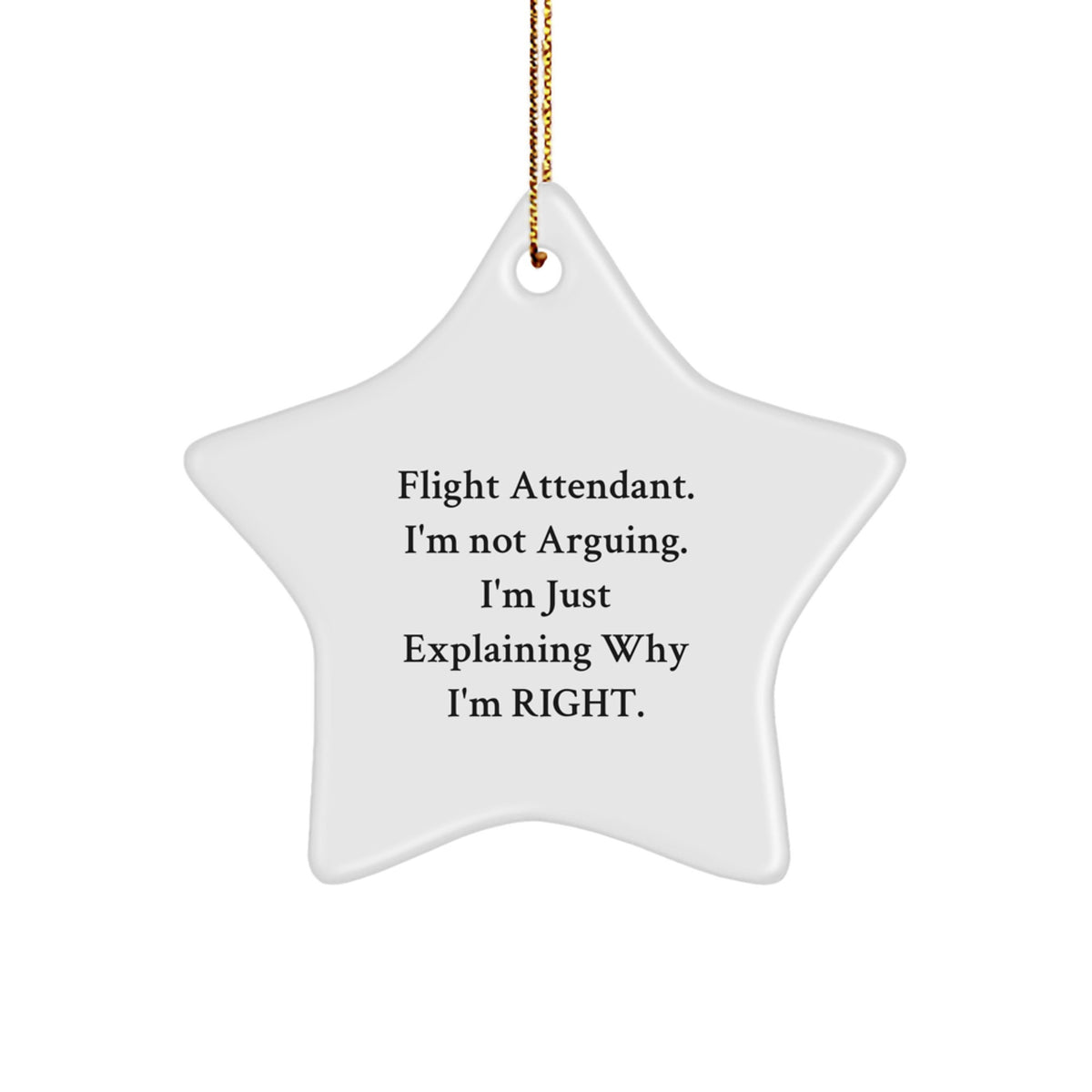 Funny Flight Attendant Gifts from Friends for Men Women Coworkers Family Christmas Unique Star Ornament Quote I'm Not Arguing I'm Just Explaining Why I'm Right. - Image 1