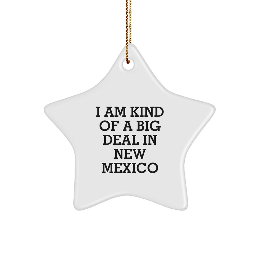 Gifts from Men to Friends in New Mexico, 'I Am Kind Of A Prime Selection In New Mexico' Funny Star Ornament for Christmas - Image 1
